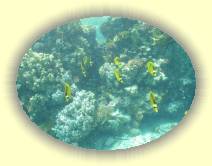 IMG_2007_05_30 13_57_25 * 2208 x 1652 * (666KB)